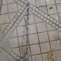 رگال سالم تعداد محدود