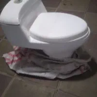 توالت فرنگی