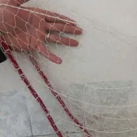 سالی ماهیگیری