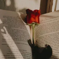 مشاوره درباره حس غم و تنهایی ( کتاب )