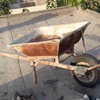 قفسه،فرقون