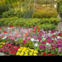 خدمات باغبانی وسمپاشی در تمام نقاط کرج