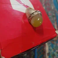 انگشتر|جواهرات|زابل, |دیوار