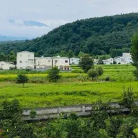 249متر منطقه دنج و جنگلی تنکابن