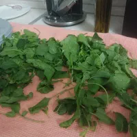 سبزی خشک کن|سایر لوازم برقی|گنبد کاووس, |دیوار