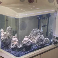 آکواریوم شرکتی AQUA شیشه خم با LED حرفه ای