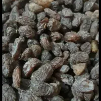 کشمش ومویز آفتاب خشک وشیره انگور خرما مخصوص آبکیری|خوردنی و آشامیدنی|کرمانشاه, |دیوار