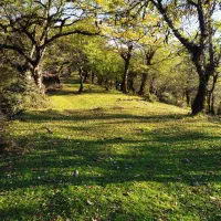 فروش-زمینی-مسکونی