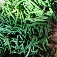 لوبیاسبز ارگانیک|خوردنی و آشامیدنی|بابل, |دیوار