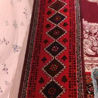 قالیچه دست بافت|فرش|داراب, |دیوار