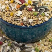 دان وملزومات پرندگان