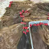 کوتاهی مو.