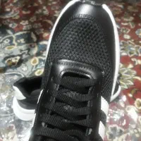 کتونی سایز ۴۰|کیف، کفش، کمربند|آمل, |دیوار