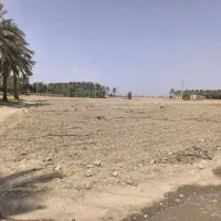 اجاره زمین کشاورزی یک هکتار جیرفت روستا ورامین|اجارهٔ دفتر صنعتی، کشاورزی، تجاری|اسماعیلی, |دیوار