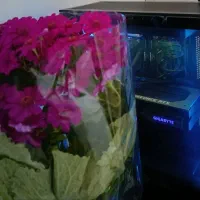 کیس آماده کامپیوتر