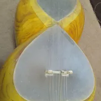 تار دو مهر برزگر