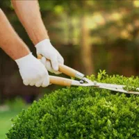 باغبانی و باغداری با تجربه بالا و مدرک کشاورزی