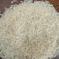 لاشه دم سیاه دودی