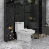 توالت فرنگی با ۲۰٪ تخفیف فقط تا آخر هفته