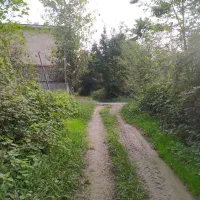 3000 متر زمین کشاورزی سنتی|فروش زمین و ملک کلنگی|شفت, |دیوار