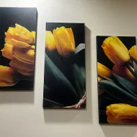 تابلوی سه تایی دکوری
