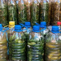 خیار شور ۱/۵ لیتری  و ۴ لیتری سوپر ویژه|خوردنی و آشامیدنی|سراب, |دیوار