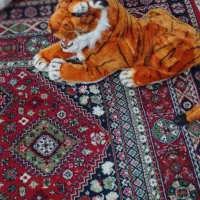 اسباب بازی خرس|اسباب‌بازی بچه|خرمدره, |دیوار