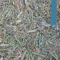 کاه خار|حیوانات مزرعه|نیشابور, ده حلاج|دیوار