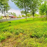 ۲۲۰متر زمین مسکونی نقاشی خدا منظره زیبای جنگل