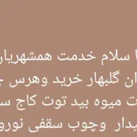 .خریدچوب باغات نقدی نوروزی