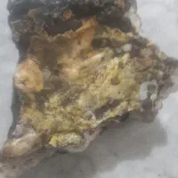 سنگ|کلکسیون اشیاء عتیقه|رشت, کوی حسینی|دیوار