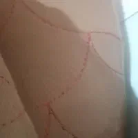 موکت 12 متری طرح دار|موکت|گلبهار, شهر جدید گلبهار|دیوار