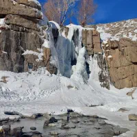دبه خیار شور