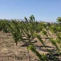 300مترزمین-سندمادرسهیلیه-زعفرانیه-اقبالیه