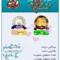 شغل بانوان در خانه آنلاین