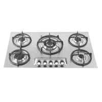 اجاق گاز استیل درسا مدل DG2211-5M