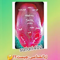 درمان وتسریع در کاهش وزن|آرایشی، بهداشتی، درمانی|مشهد, آبکوه|دیوار