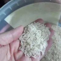 برنج طارم هاشمی درجه ۱|خوردنی و آشامیدنی|تهران, بیسیم|دیوار