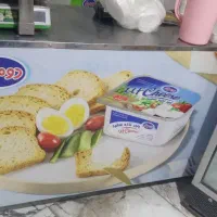 لوازم کامل تولید لبنیات|فروشگاه و مغازه|رباط‌کریم, رباط‌کریم|دیوار