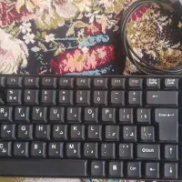 keyboard xp 8000