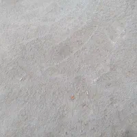 زمین خالی کشاورزی مخصوص باغ