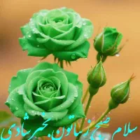 گوشی همراه پیدا شد