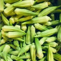 راهنمایی و مشاوره