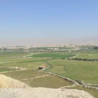 زمین برنجکاری|فروش دفتر صنعتی، کشاورزی، تجاری|دوگنبدان, |دیوار