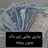 فرشینه ابریشمی|فرش|مشهد, کوی المهدی|دیوار