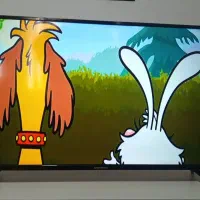 ال ای دی ۴۳ اینچ دوو درحدنو نو|تلویزیون و پروژکتور|همدان, |دیوار