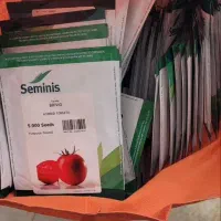 بذر گوجه BRIVIOسیمینس