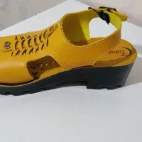 کفش زنانه و بچه گانه