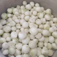 پیاز پوست کنده و پیاز سر خ شده