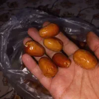 خشکبار|خوردنی و آشامیدنی|شاهرود, |دیوار